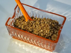 نمای نزدیک از ترنجبین پر از خاصیت